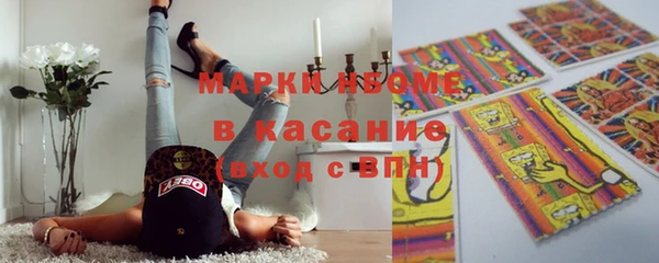 гашик Вяземский