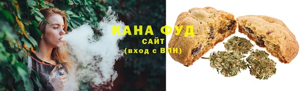 гашик Вяземский