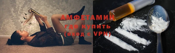 гашик Вяземский