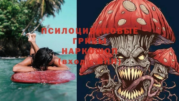 гашик Вяземский