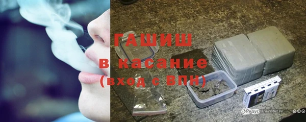 гашик Вяземский